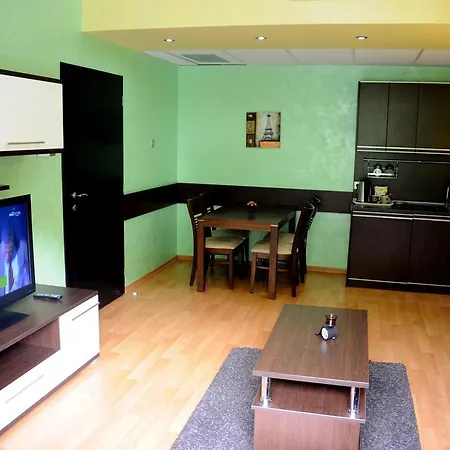 Clinic For Rehabilitation Vujan Čačak